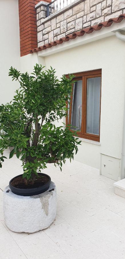 Haus Silvia Daire Rovinj Dış mekan fotoğraf